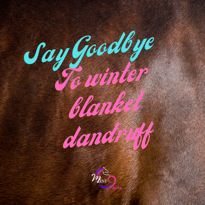 Say Goodbye to Winter Blanket Dandruff